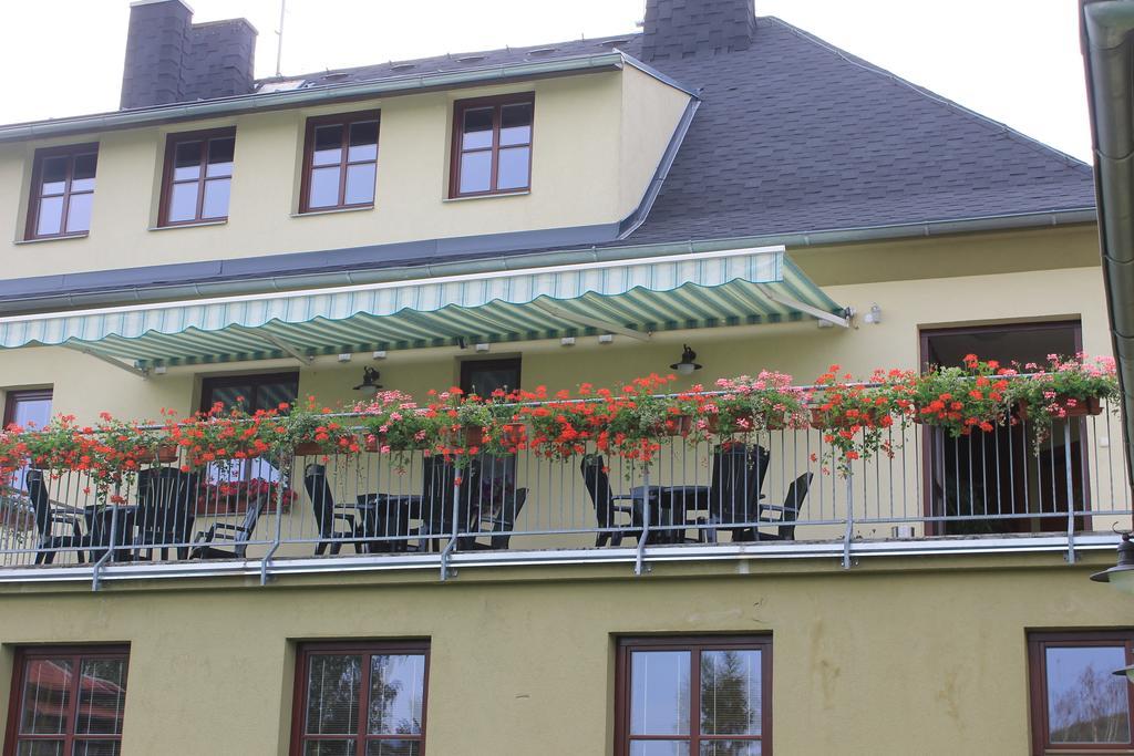 Penzion Fialka Velke Losiny Exterior photo